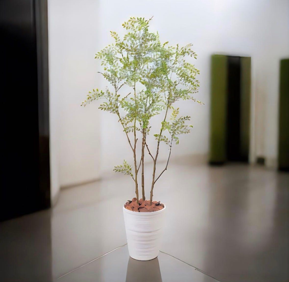 光触媒 人工観葉植物 ウォールグリーン フェイクグリーン シマトネリコ