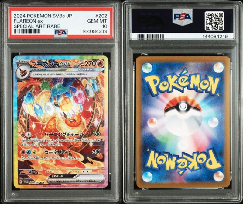 PSA10 ブイズSAR 10枚セット 200-224/187 SV8a テラスタルフェスex