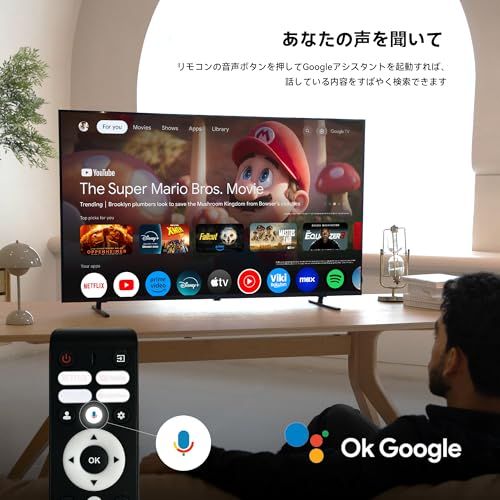FPD チューナーレステレビ 43V型 4K Google TV ネット動画 スマート