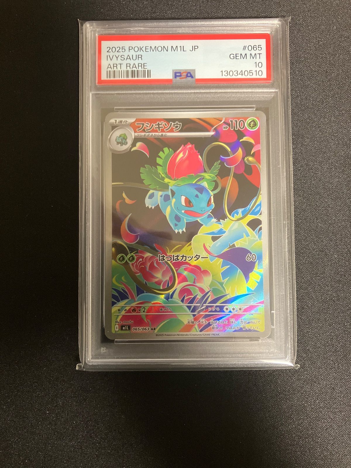 PSA10 3連番 フシギダネ 進化ライン - メルカリ