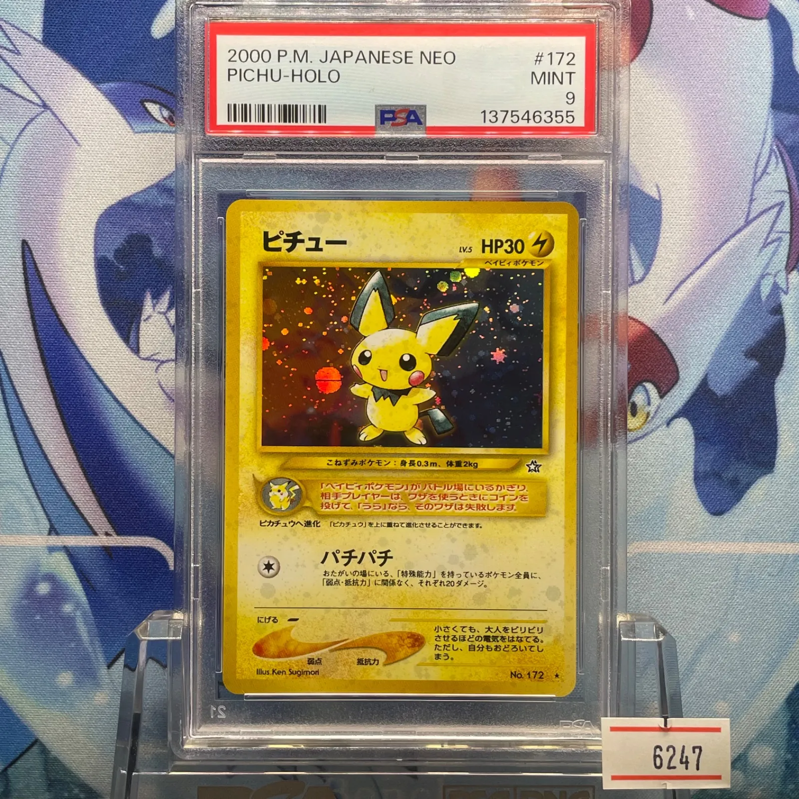 2026年最新】ピチュー psa10 旧裏の人気アイテム - メルカリ
