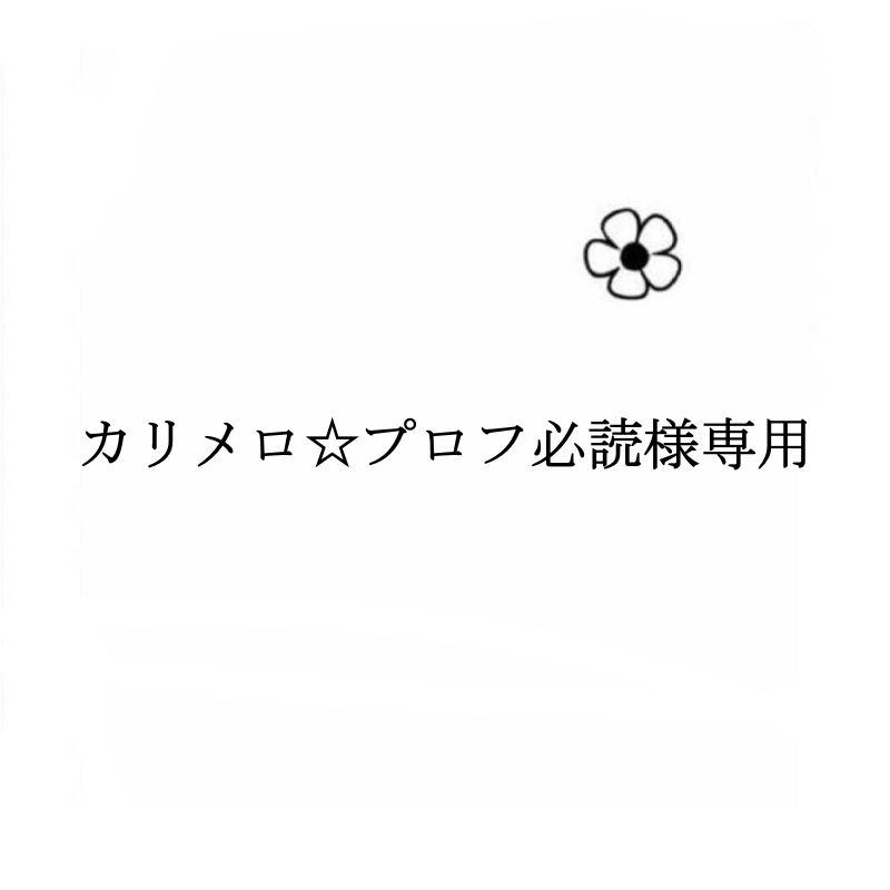 カリメロ☆プロフ必読様専用 - メルカリ