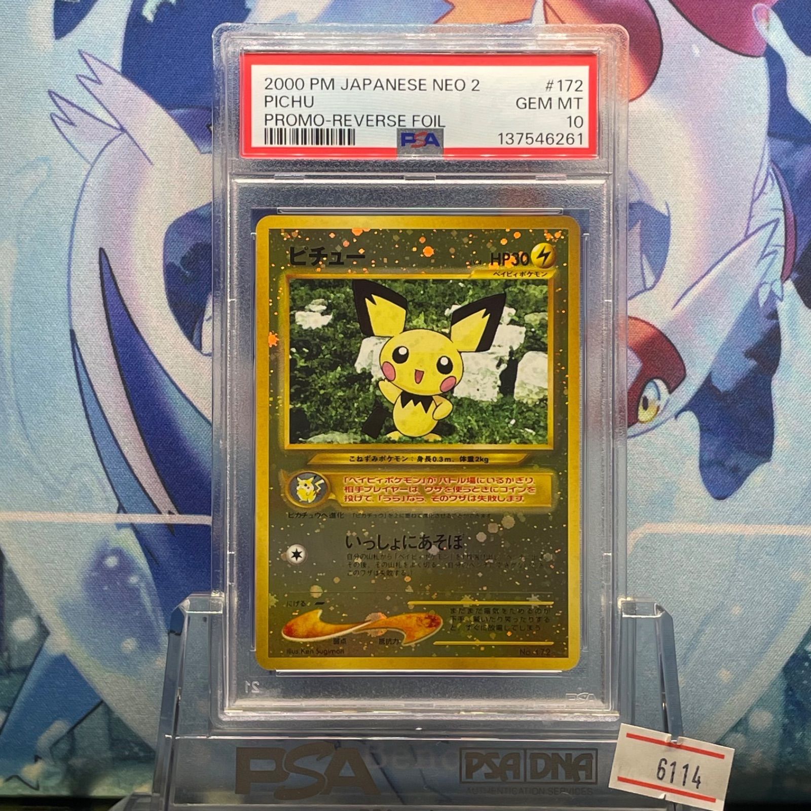 PSA10 ピチュー 旧裏 NEO LV.4 プレミアムファイル2 172 2000 A-6114