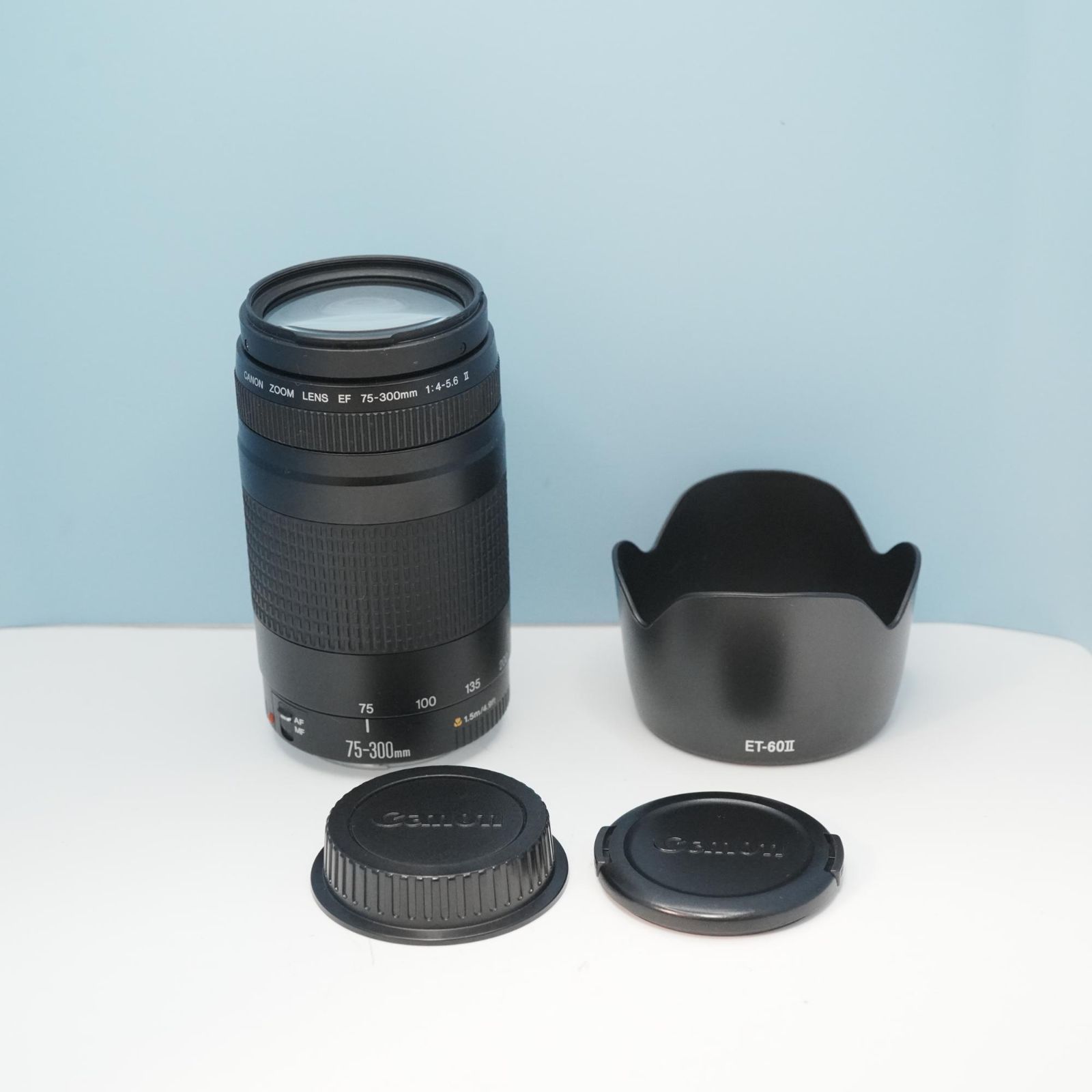 Canon純正 75-300mm EFマウント用 望遠レンズ 美品 a5920 - メルカリ