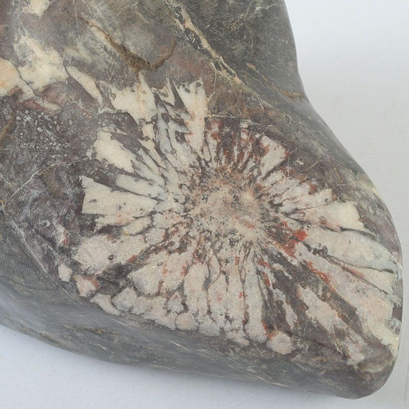 鑑賞石 天然石 菊花石 置物 重さ約2506g V S738 - メルカリ