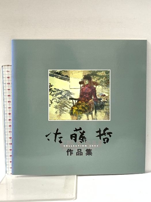 佐藤哲 作品集 2003年 一枚の繪株式会社 - メルカリ