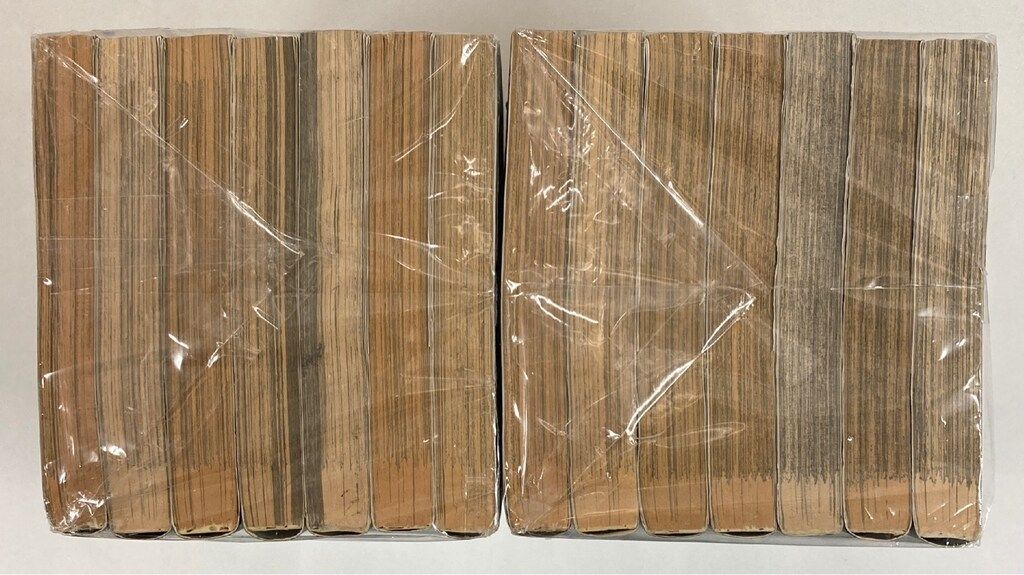 小学館 ヤングサンデーコミックス 新井英樹 The World Is Mine全14巻