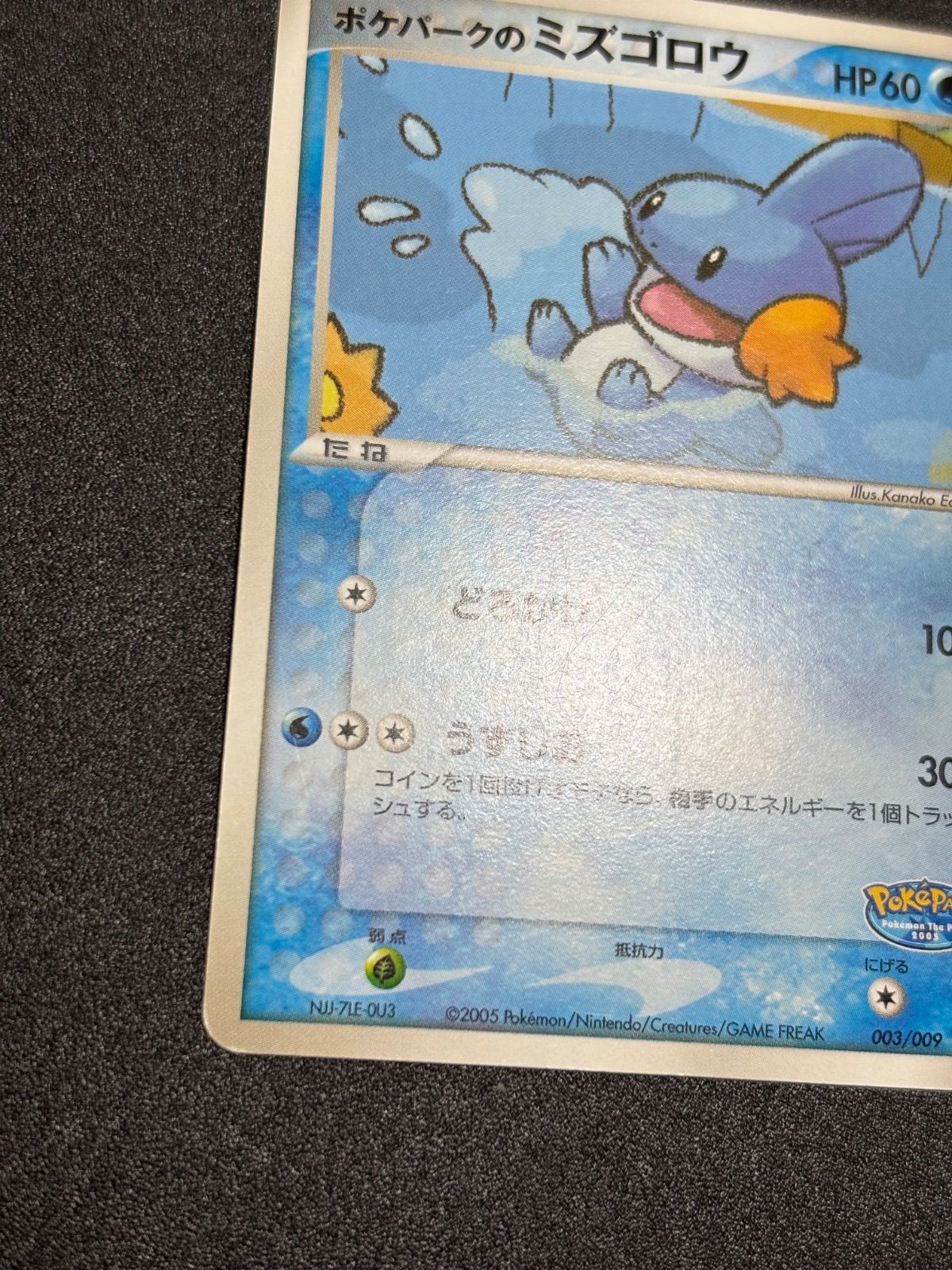 ポケパークのミズゴロウ プロモ プレミアムファイル - メルカリ