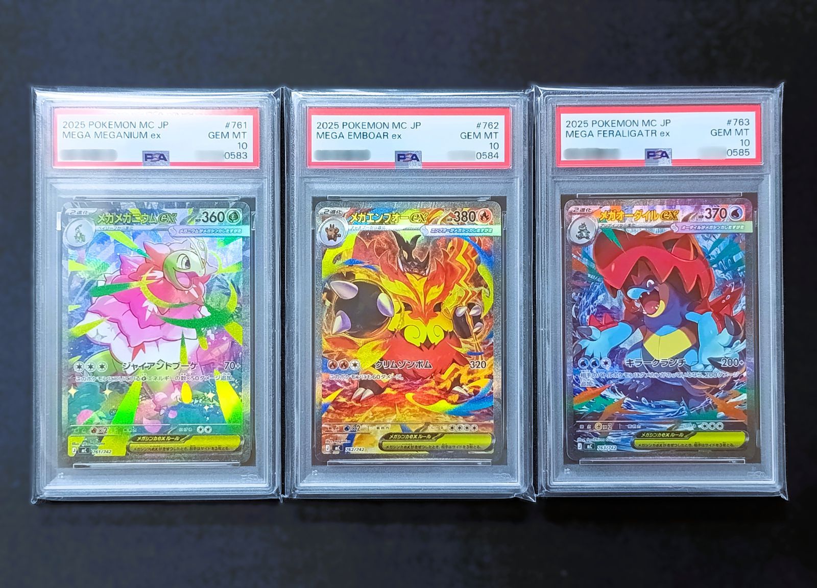 3連番】PSA10 ZA御三家 SAR仕様 3枚セット ポケモンカードゲーム