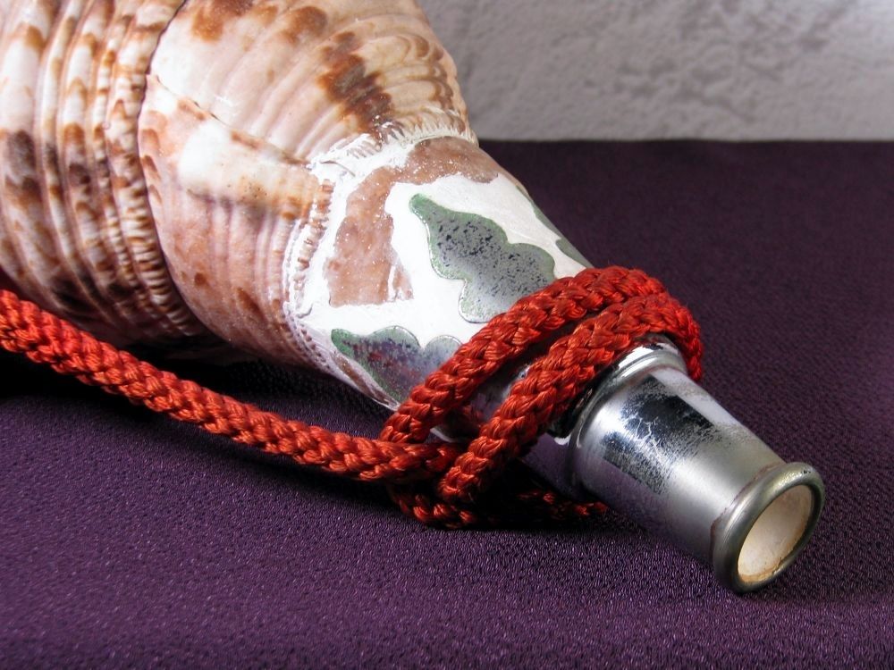 法螺貝 ホラガイ 大型 幅：40cm 和楽器 極美品 山伏道具/26c004 - メルカリ