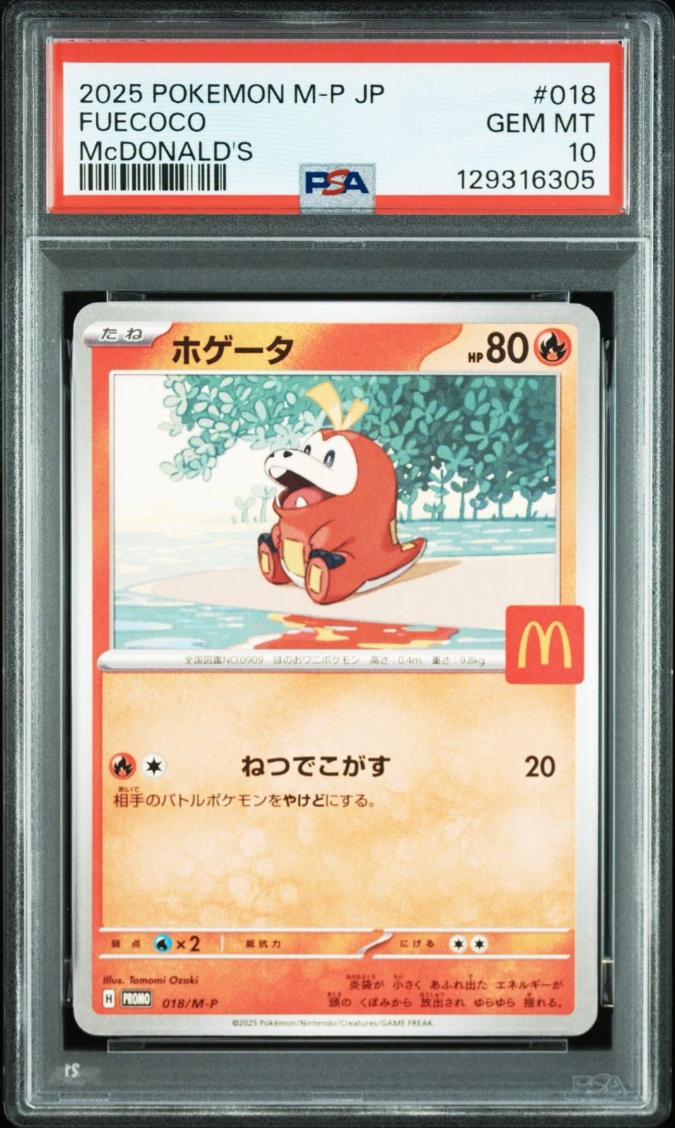 PSA10】ポケモンカード マクドナルド プロモ ニャオハ ホゲータ