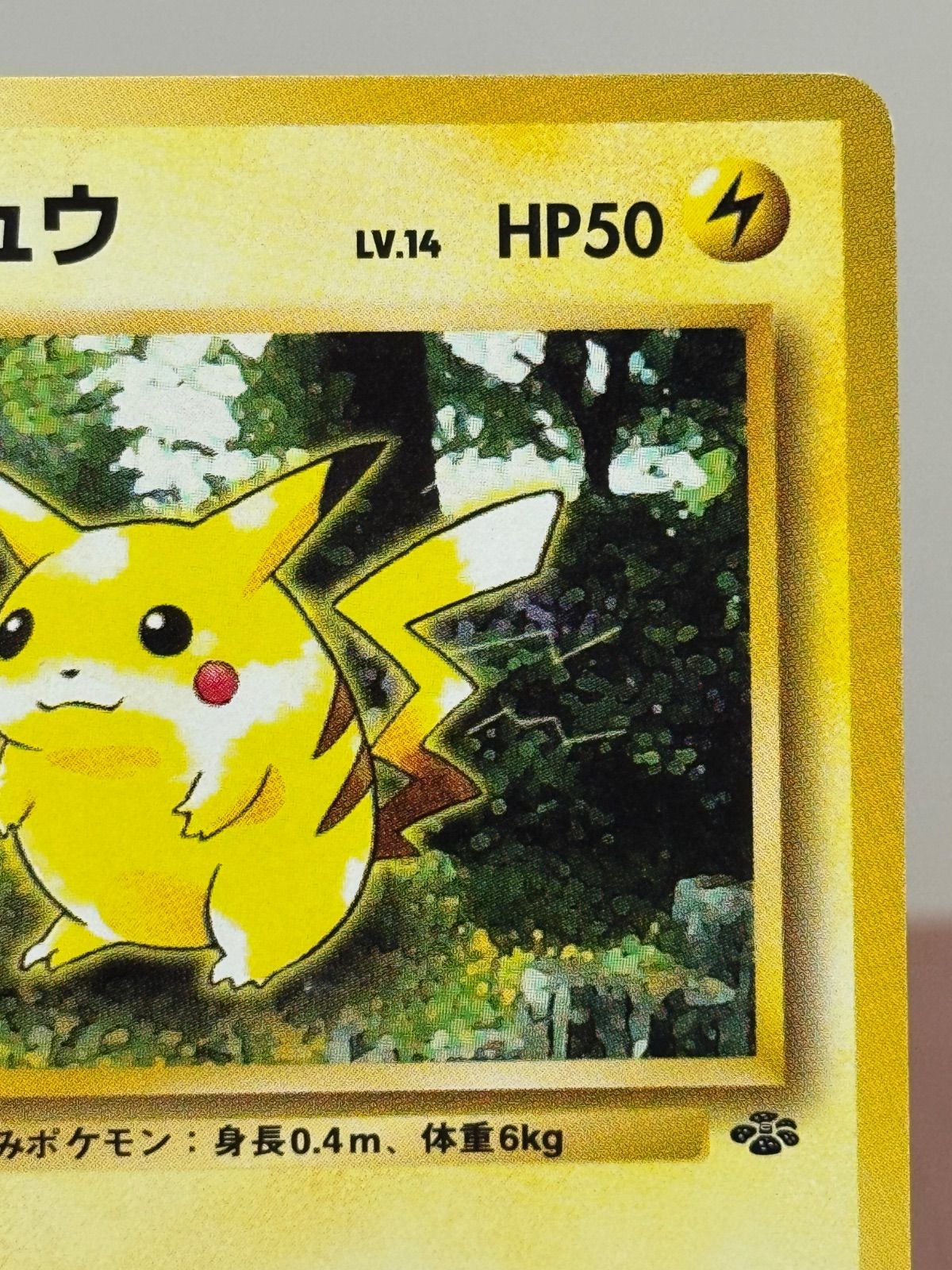 旧裏】ピカチュウ LV.14 ○ No.025 ポケモンジャングル ポケモンカード