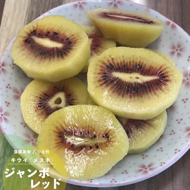 2026年最新】キウイ 花粉の人気アイテム - メルカリ