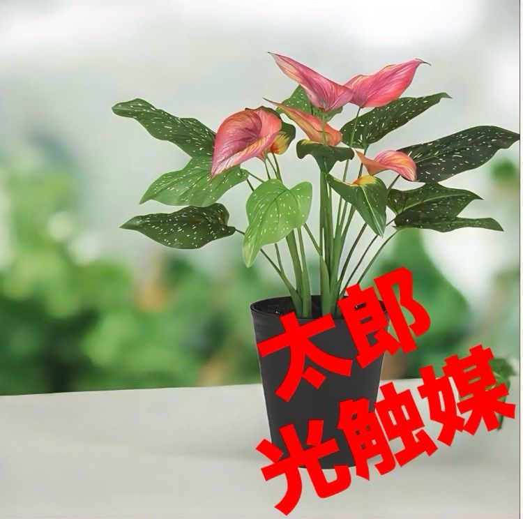 光触媒 人工観葉植物 ウォールグリーン フェイクグリーン 東北カラー55