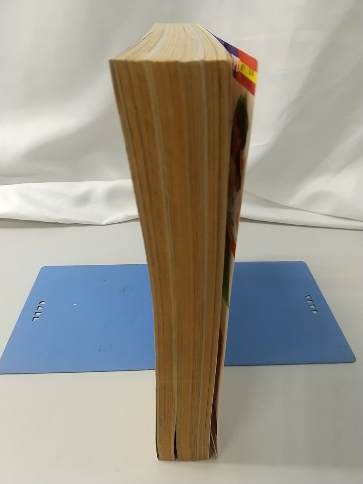 月刊LaLa 1981年9月号 白泉社 創刊5周年記念特大号 - メルカリ