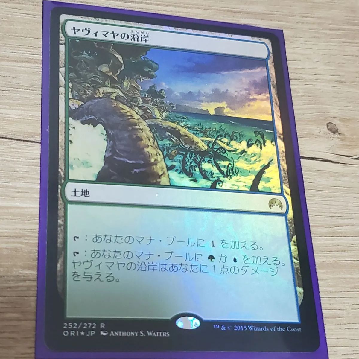 MTG ヤヴィマヤの沿岸 foil - メルカリ