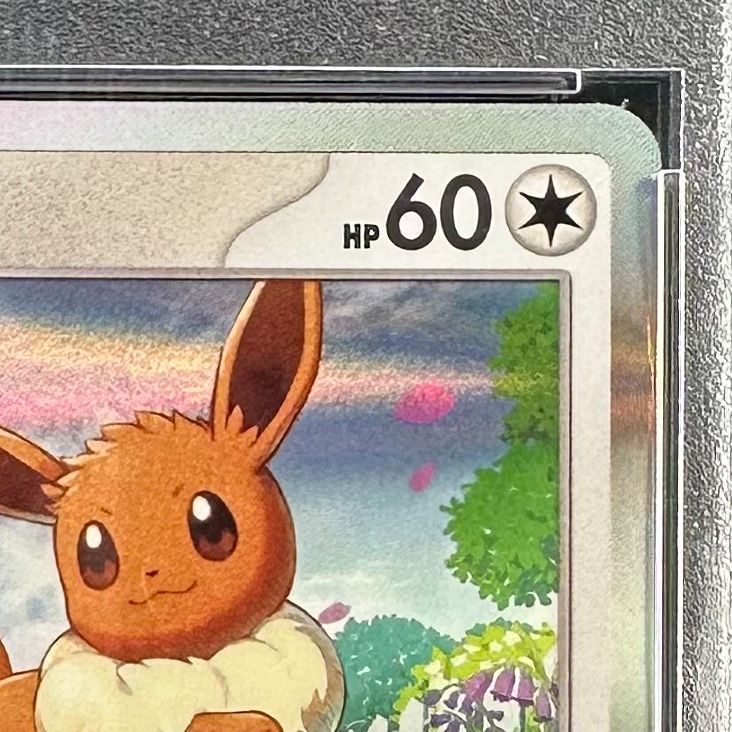 ポケモンカード イーブイ カジュアルバトル ポケモンセンター プロモ