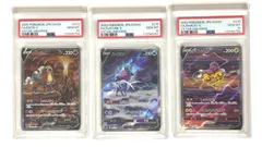 連番＞エンテイV・スイクンV・ライコウV SAR S12a【VSTARユニバース