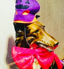 薔薇レース】新品 社交ダンス用裾サテンテープ 黒ロングスカートb234