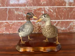 2026年最新】鴨 剥製の人気アイテム - メルカリ