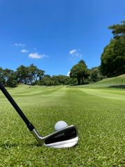 希少な 左 【左 大好評】世界最多角溝で超絶バックスピン! ダイナゴルフ