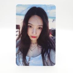 SEVENTEEN ウォヌ your choice sound wave ラキドロ トレカ フォト