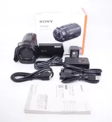 2026年最新】SONY 4Kビデオカメラ Handycam FDR-AX30 ブラック 光学10