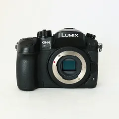 2026年最新】Panasonic DMC-GX1の人気アイテム - メルカリ