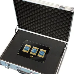 2*店様 海馬セット 未開封 一箱 2026年最新】Yahoo!オークション -海馬