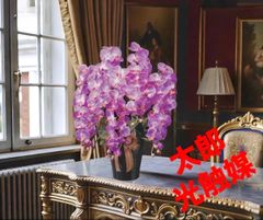 光触媒 人工観葉植物 ウォールグリーン フェイクグリーン アーモンドS1