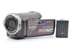 2026年最新】HDR-CX370Vの人気アイテム - メルカリ