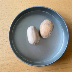 2026年最新】ホリダス 種の人気アイテム - メルカリ