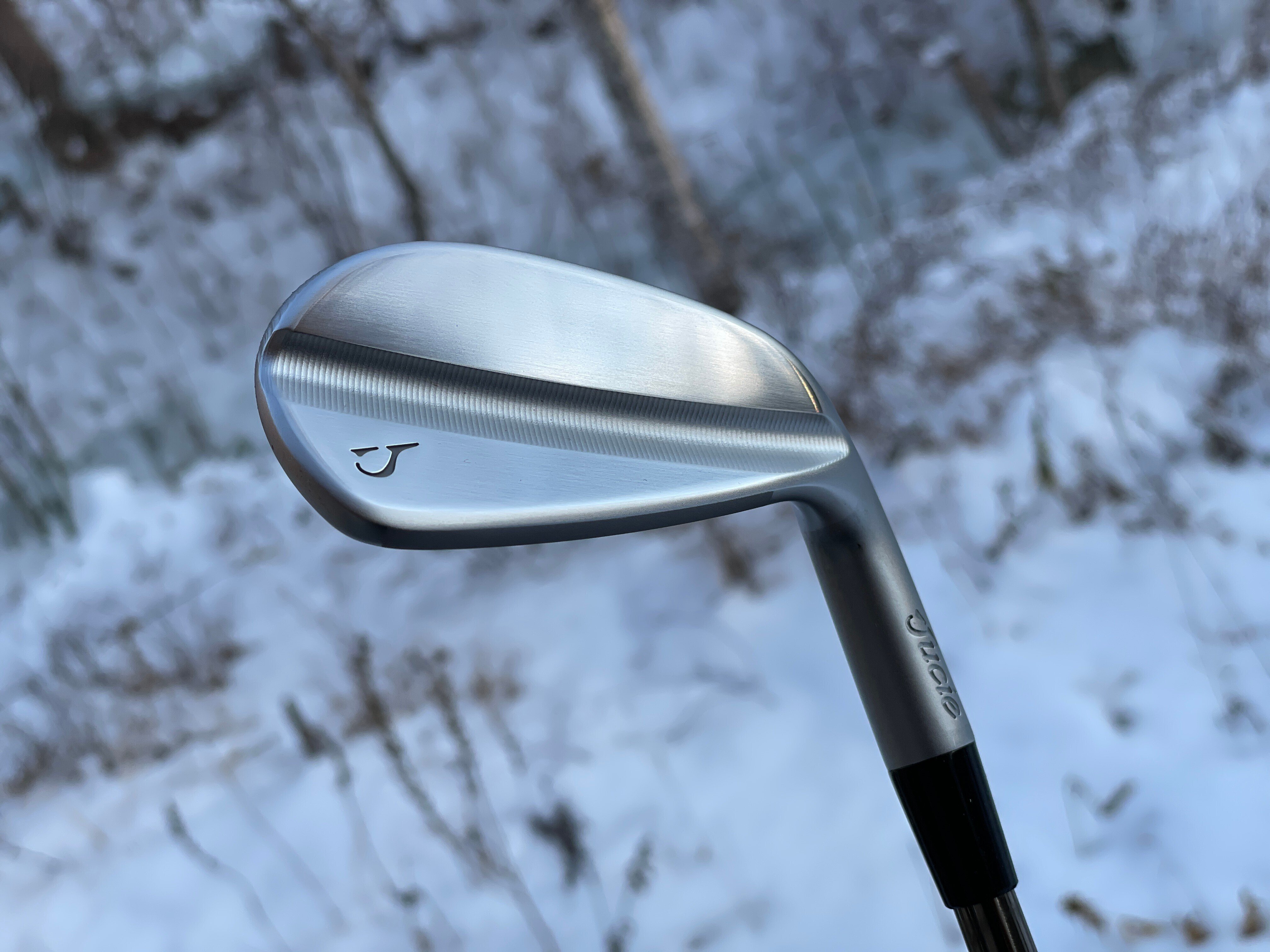 ジューシーアイアンを手に入れて、真実と事実についてぐだぐだ書いて