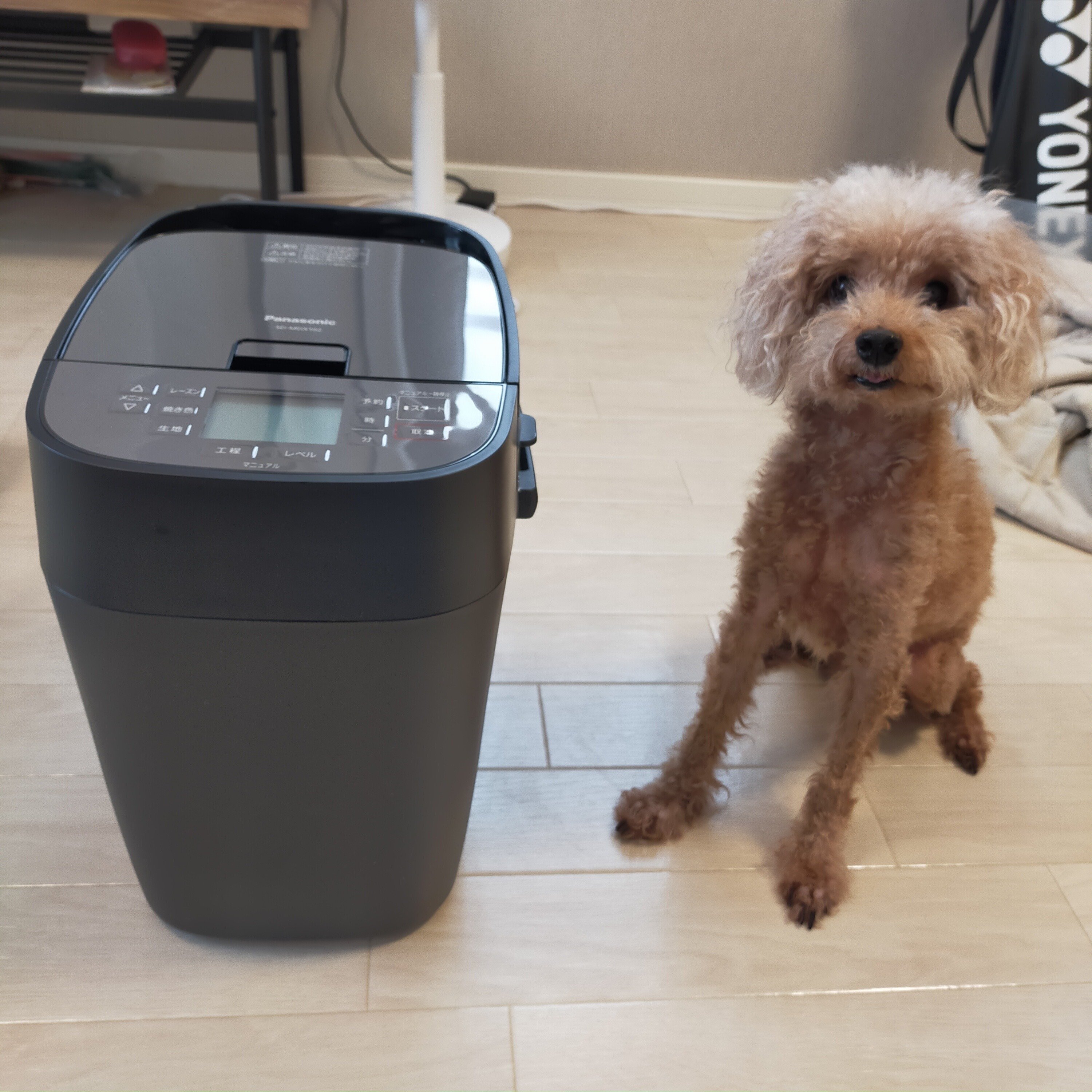 ホームベーカリーはSD-MDX102を買えば後悔しない｜幻蒼 海