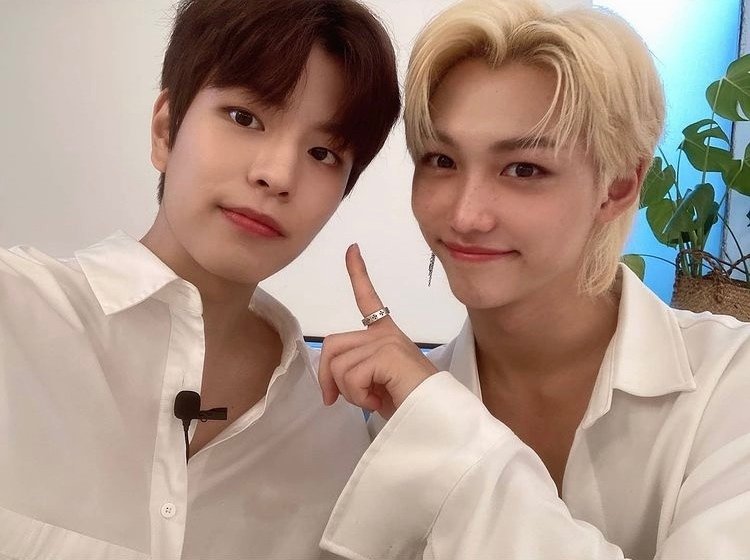 デンニャン🐤🐶(フィリックス✖️スンミン)｜はんこ。