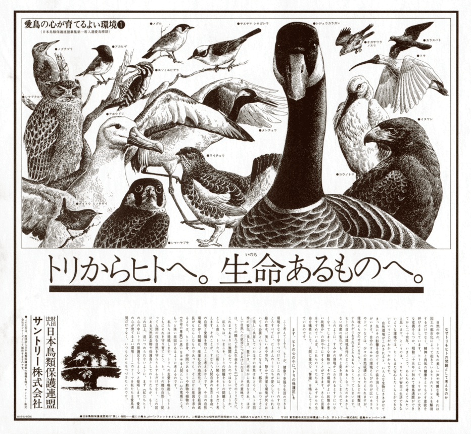 サントリーがなぜ愛鳥活動を？！｜SUNTORY（サントリー）