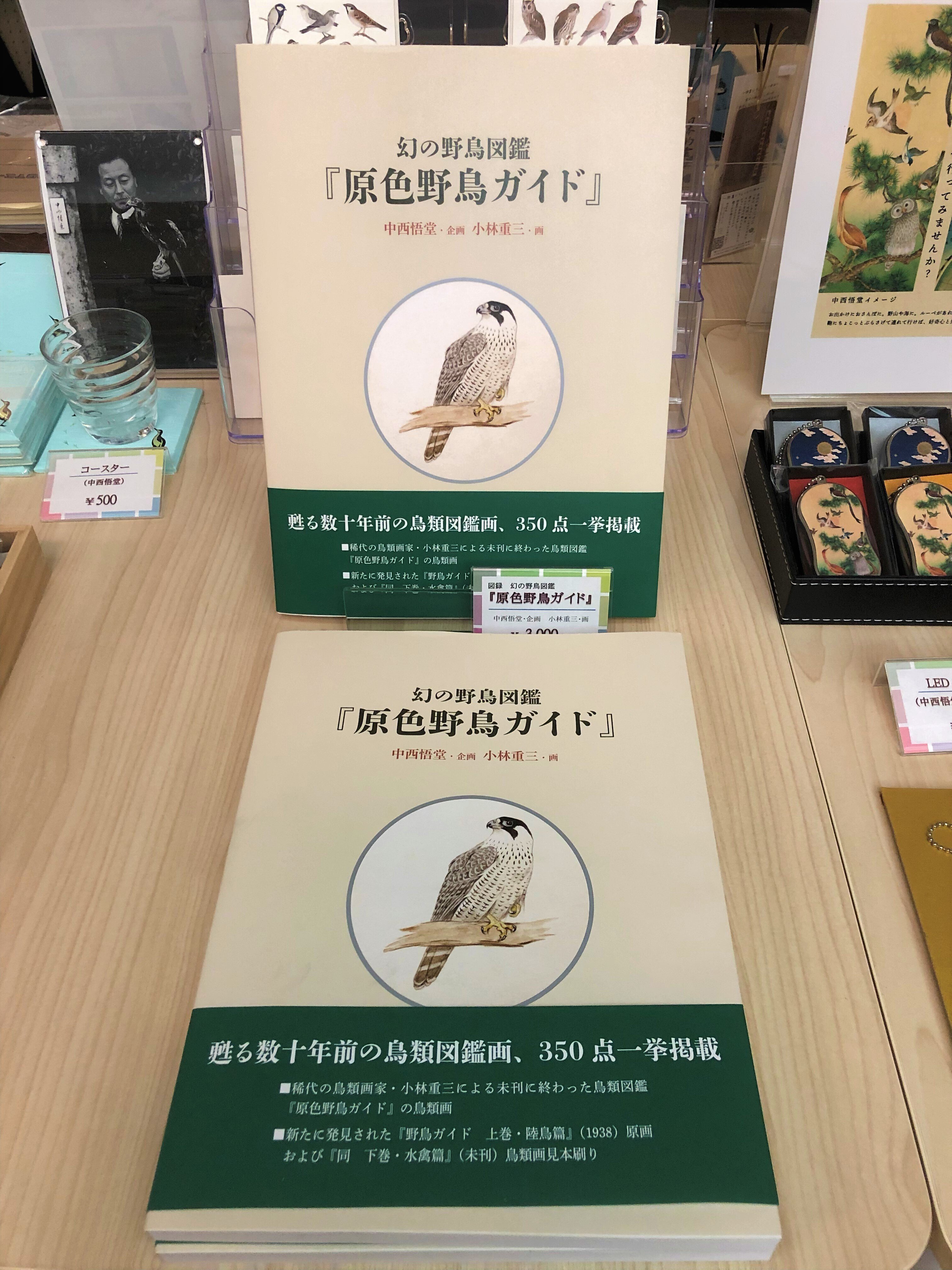 図録発刊記念】もうひとつの『原色野鳥ガイド』｜金沢ふるさと偉人館