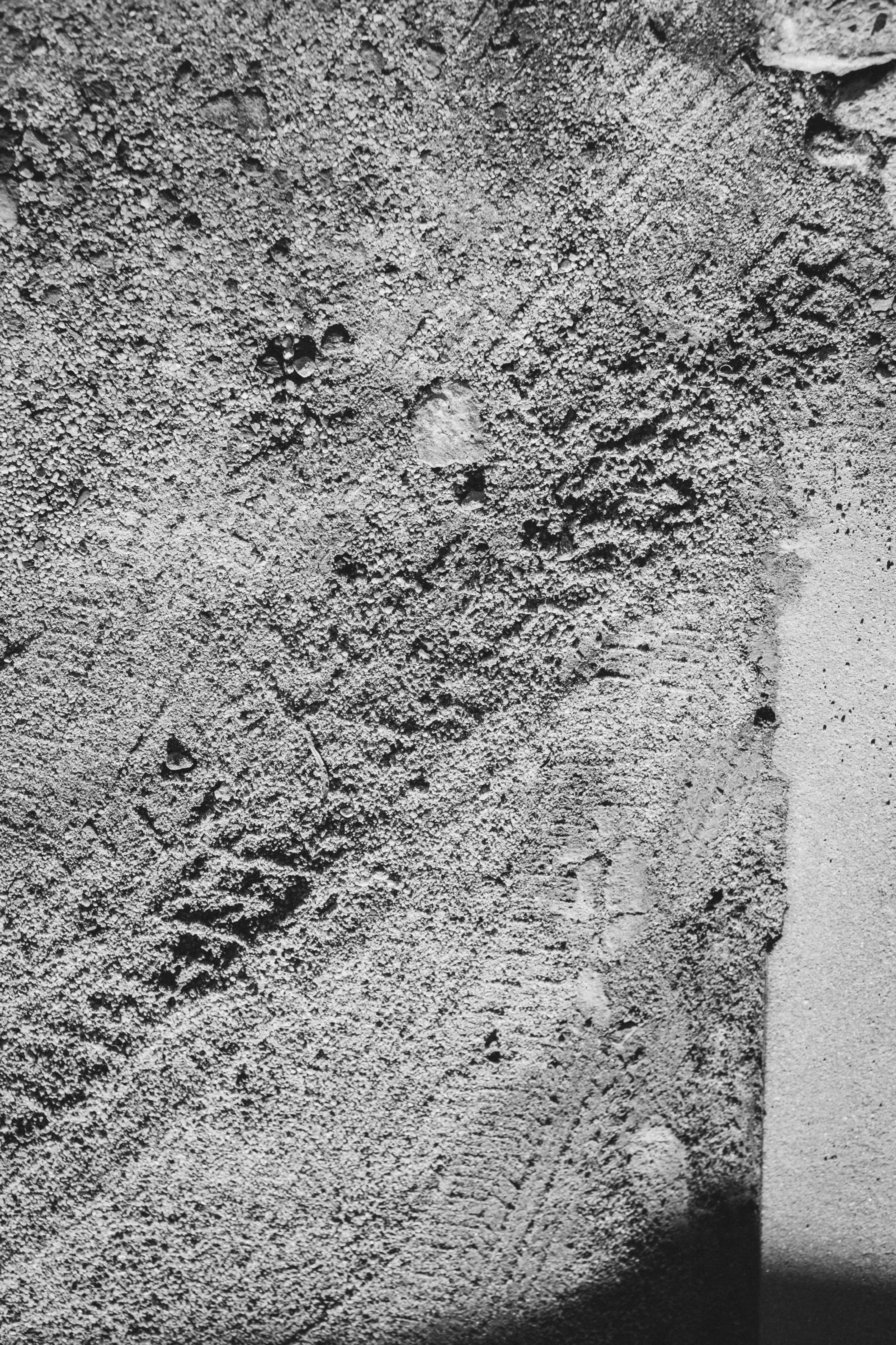 X-Pro2とモノクロ写真/#291｜SUBARU