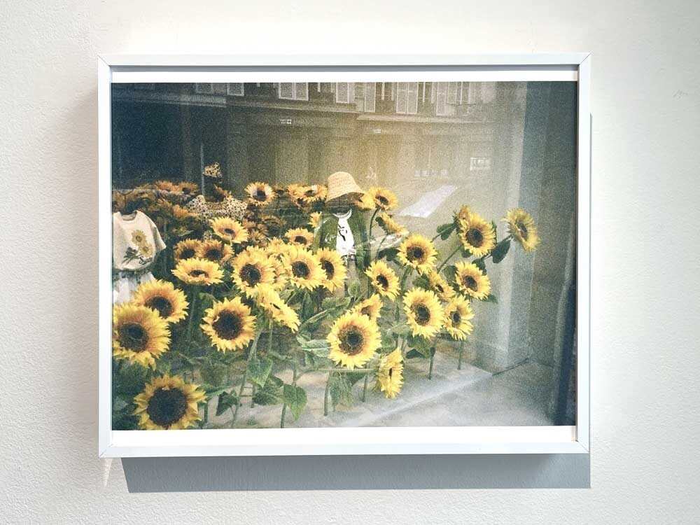 カメラを変えれば、気持ちも変わる。 今城純写真展 「HALF × HALF