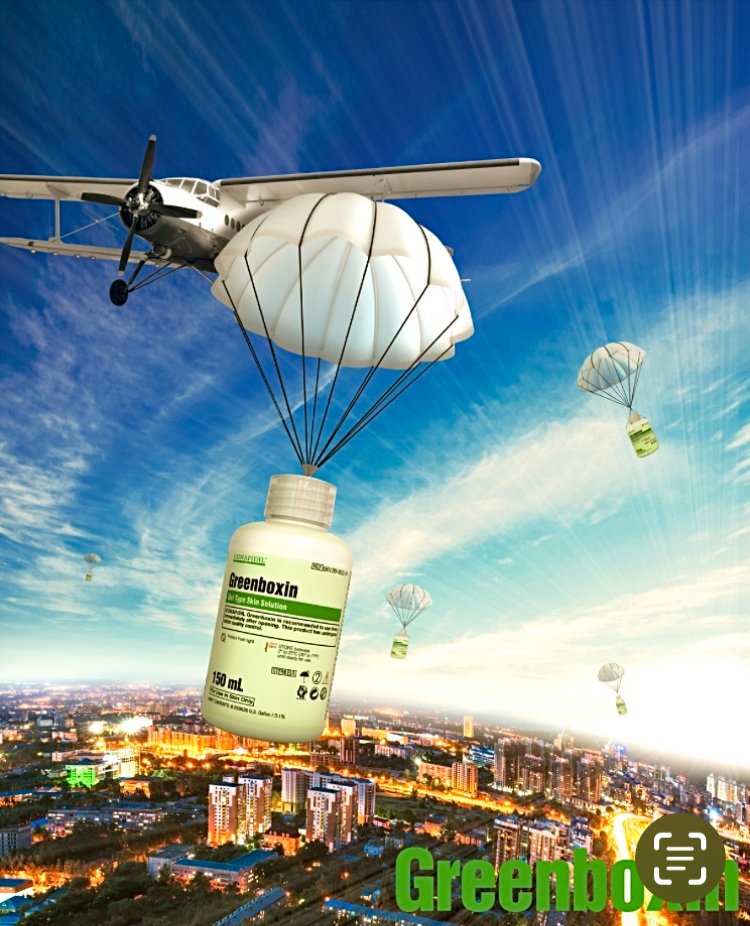 GREENBOXIN】ゆらぎの炎症に韓国鎮静スキンケア🔥大人気グリーン