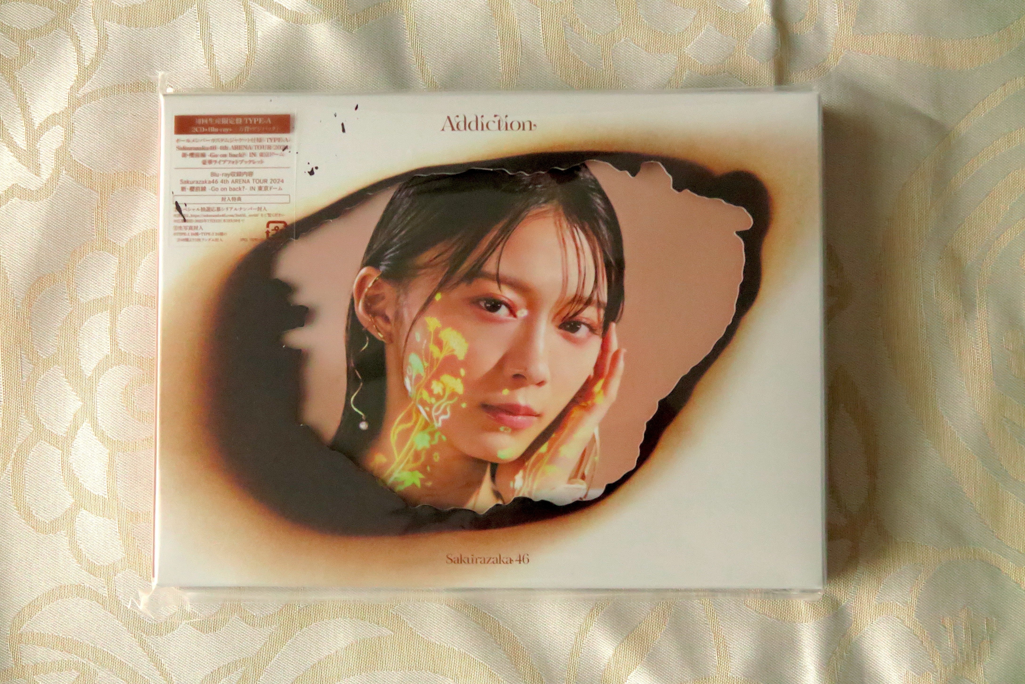 激レア皿Carmona アルバム CD 1999年リリース 激レア皿Carmona