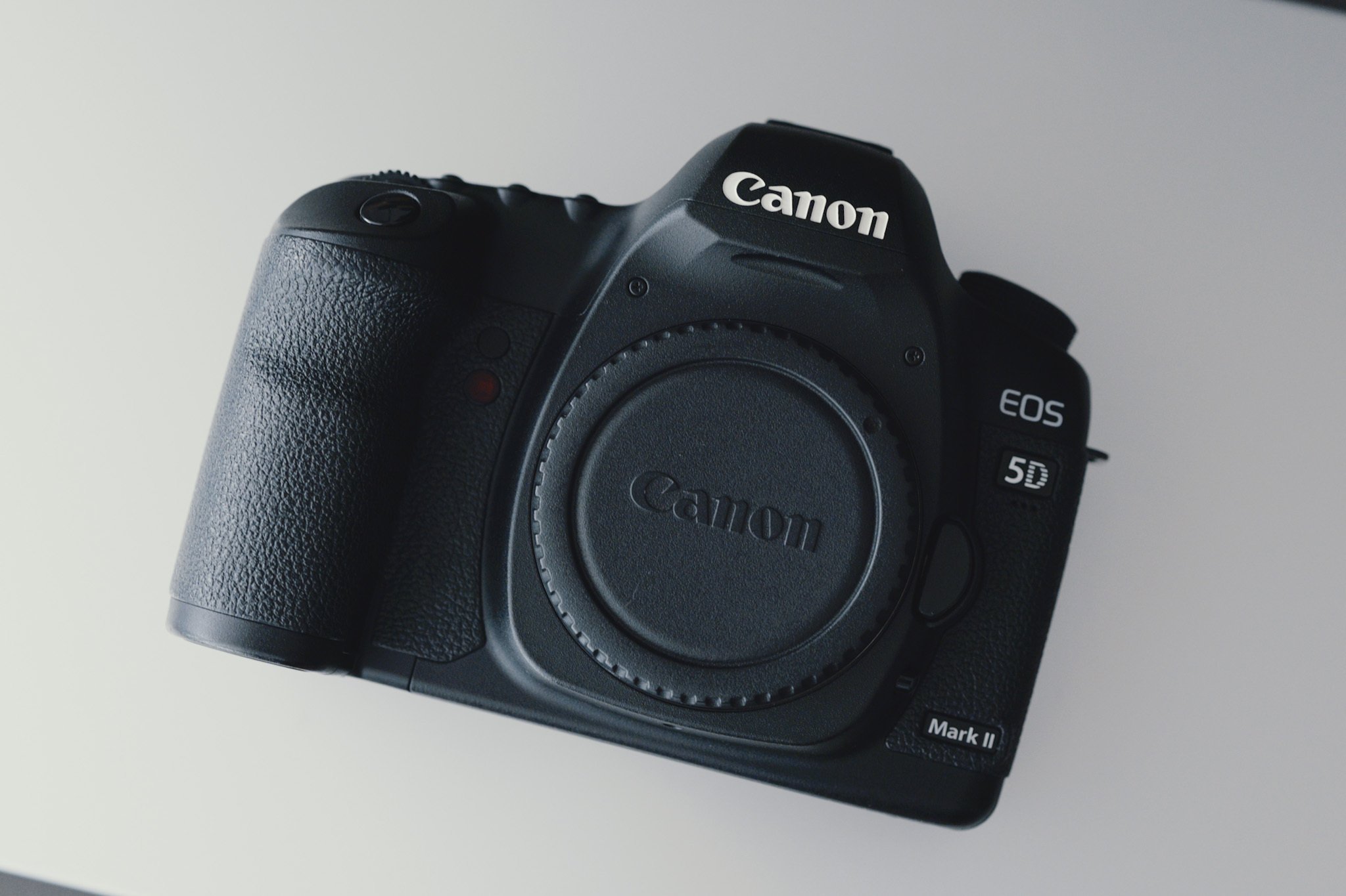 初めての一眼レフ機を購入【Canon EOS 5D markⅡ】：なぜ今このカメラ