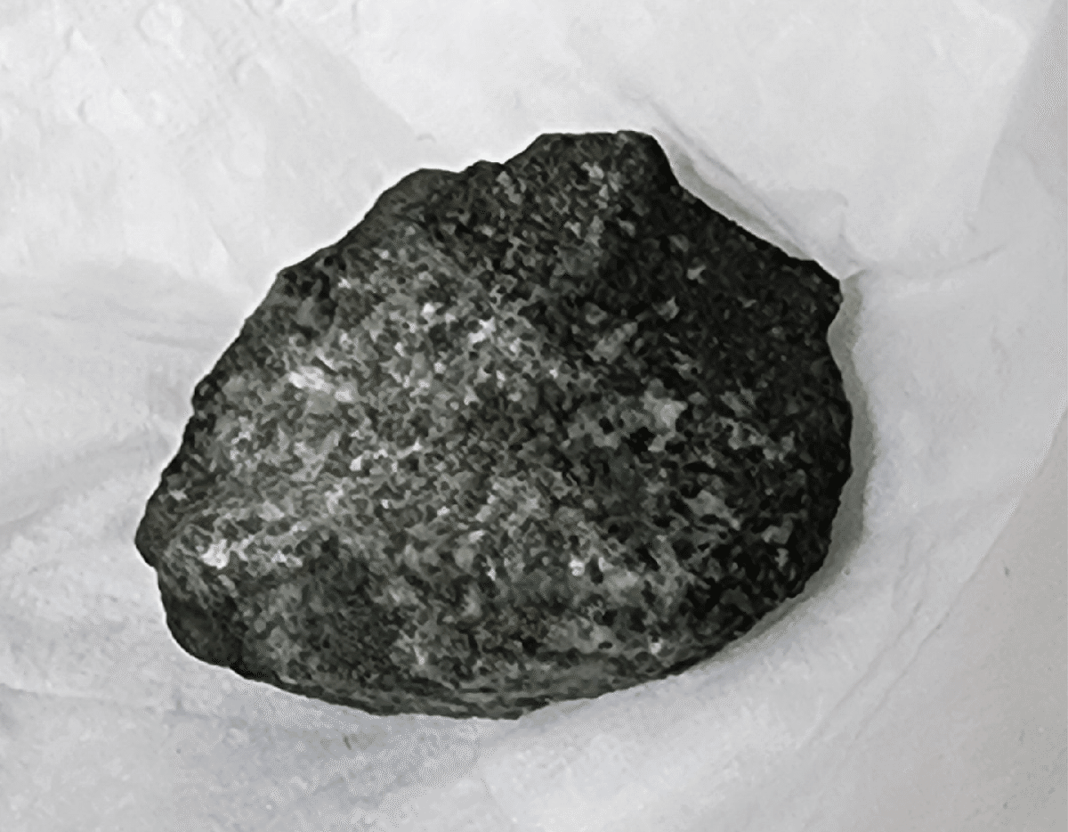 石をみつめて美少女を見出す｜観察録モノのコト 06．小石｜タケうみ