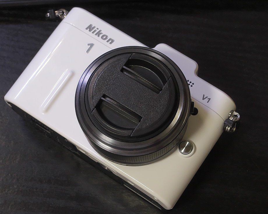 Nikon1のレンズ購入│1NIKKOR｜夏と放し飼い