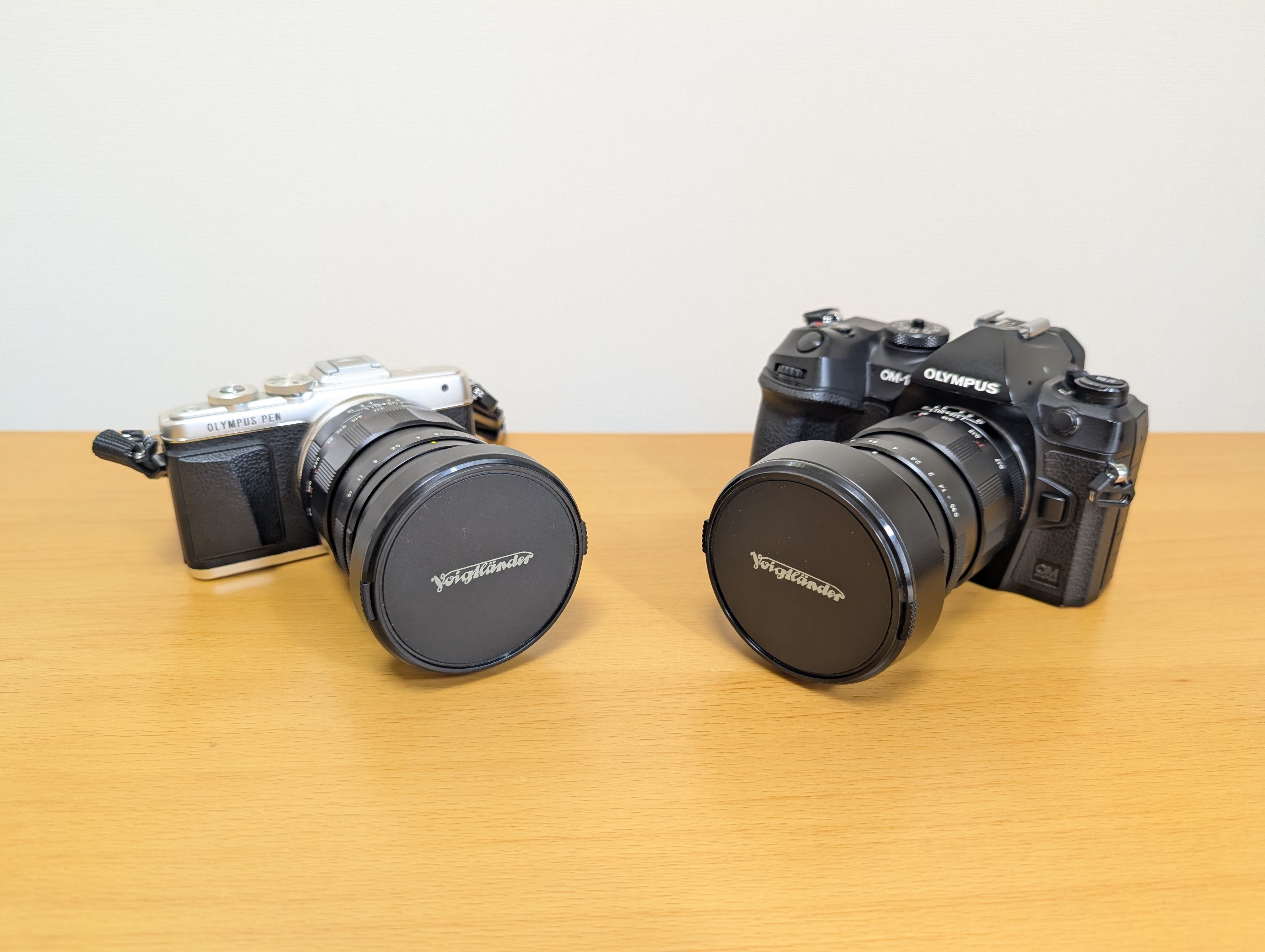 マイクロフォーサーズ用NOKTONと過ごした半年間 ｜もみじ卍ゅう