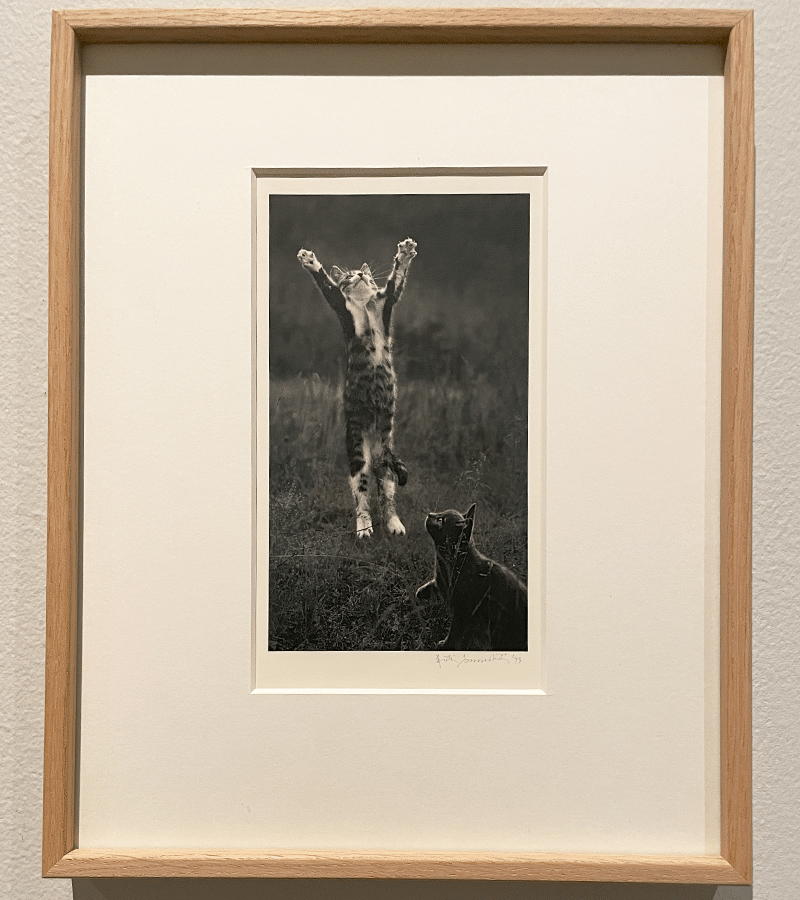 ペンティ・サマラッティ写真展『Me kaksi／The Two of Us』へ｜eriy