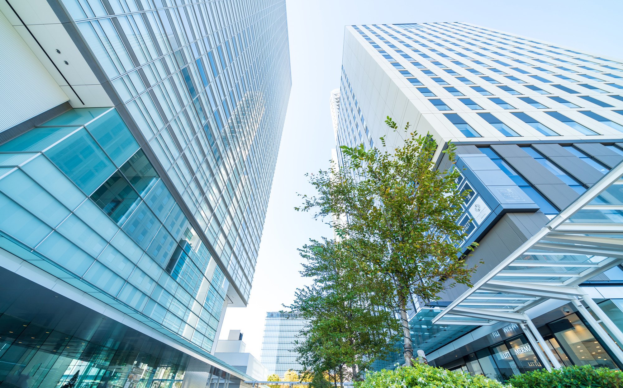 企業の成長を加速させる「ハイ・フライヤー」リーダー育成の戦略論