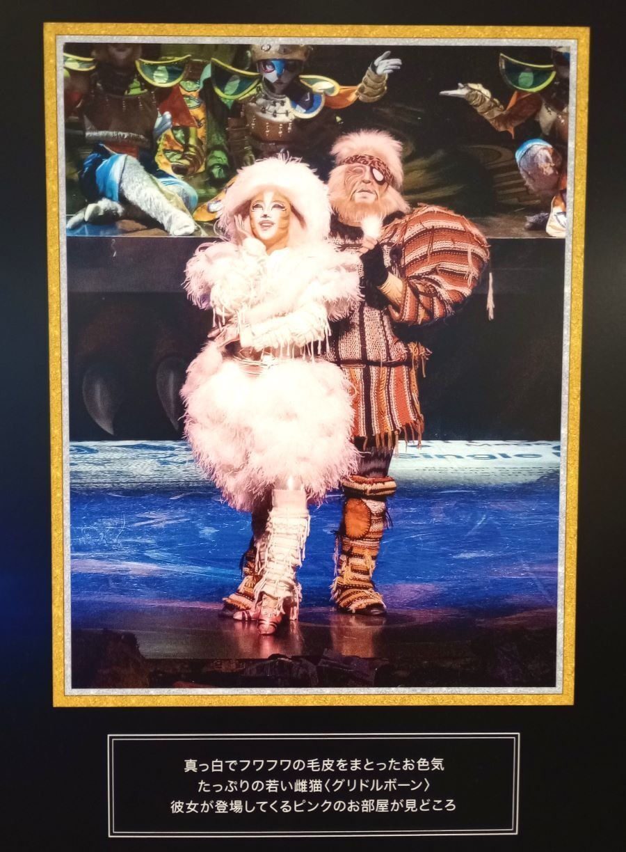 初遠征🚊】劇団四季「キャッツ」静岡公演🐈レポ｜きいろいお花