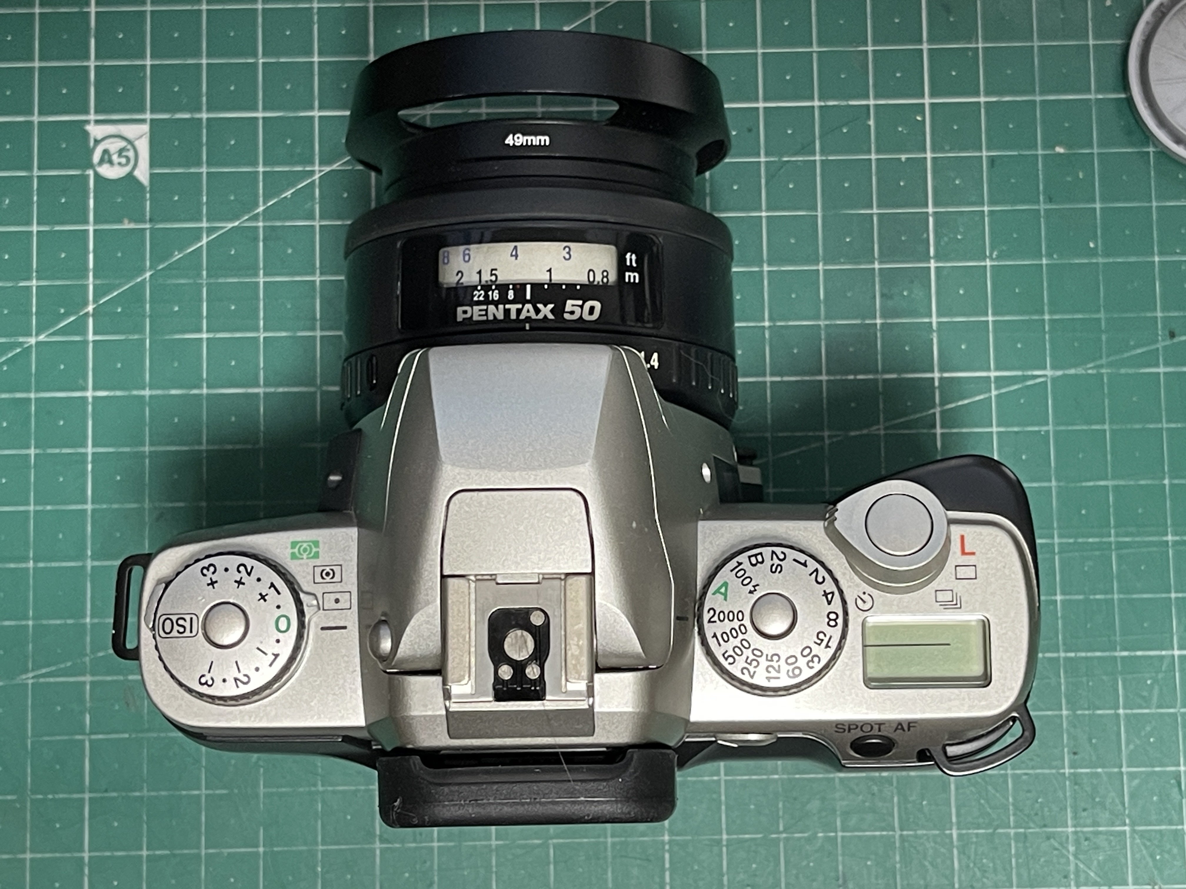 PENTAX MZ-5レビュー｜怪力熊男