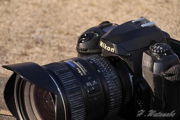 15年ぶりにニコンD100で撮ってみた｜渡邊博士